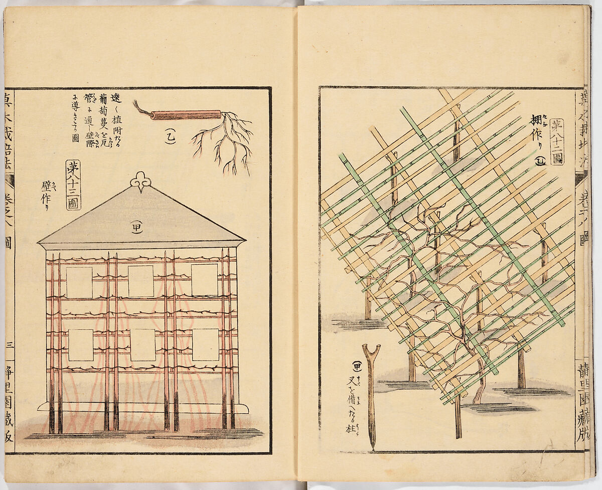 Illustrated book, Ink on paper, Japan