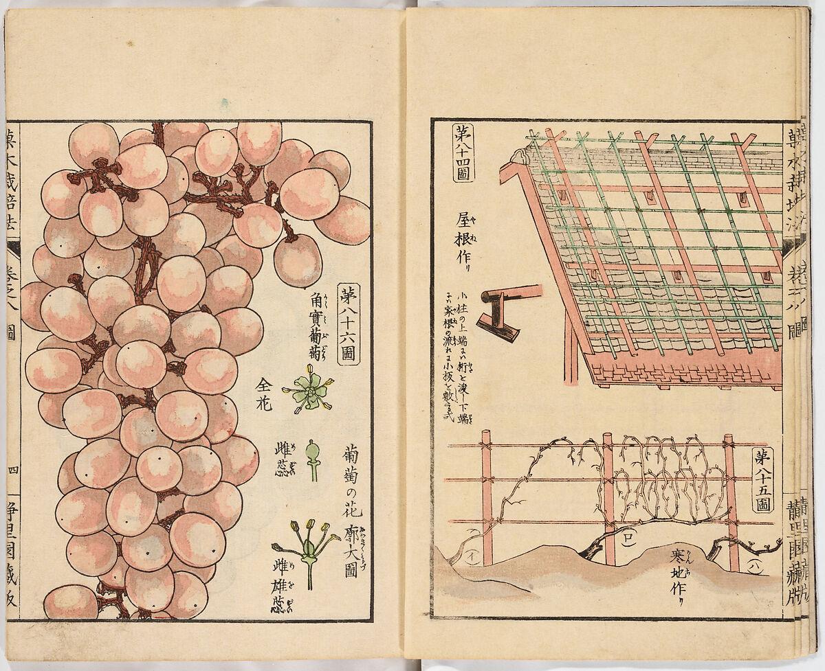 Illustrated book, Ink on paper, Japan