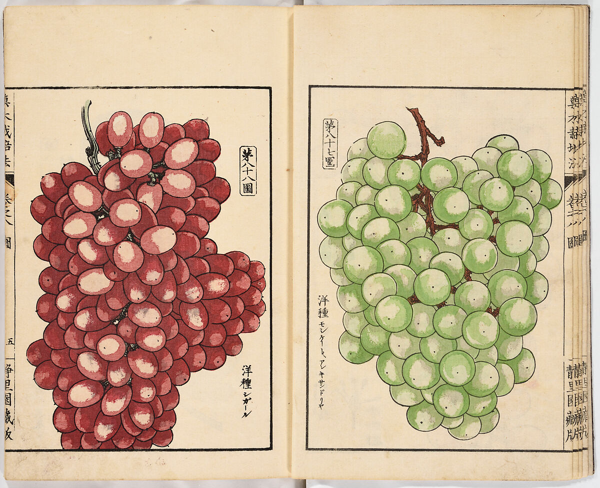 Illustrated book, Ink on paper, Japan