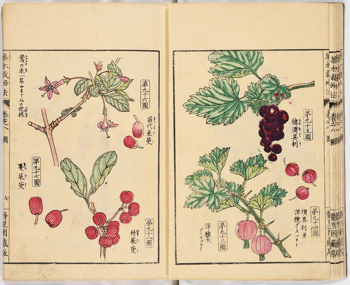 Illustrated book, Ink on paper, Japan