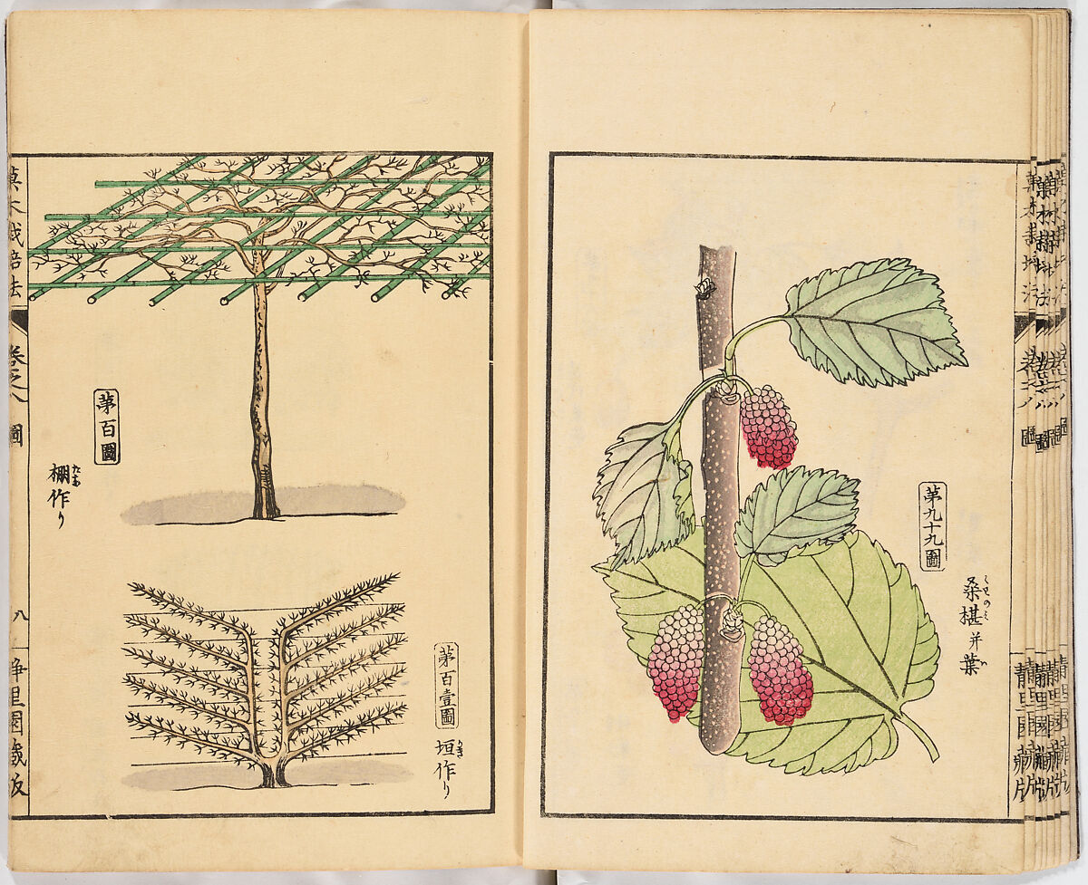 Illustrated book, Ink on paper, Japan