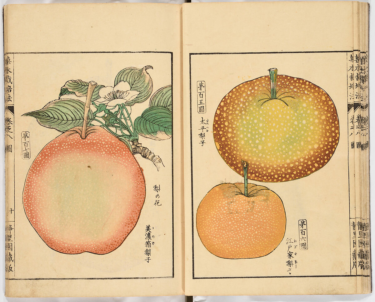 Illustrated book, Ink on paper, Japan