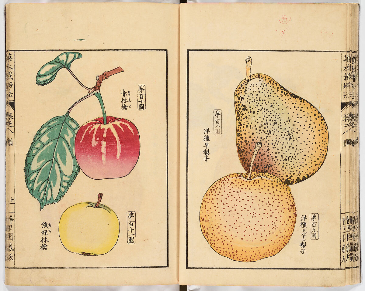 Illustrated book, Ink on paper, Japan