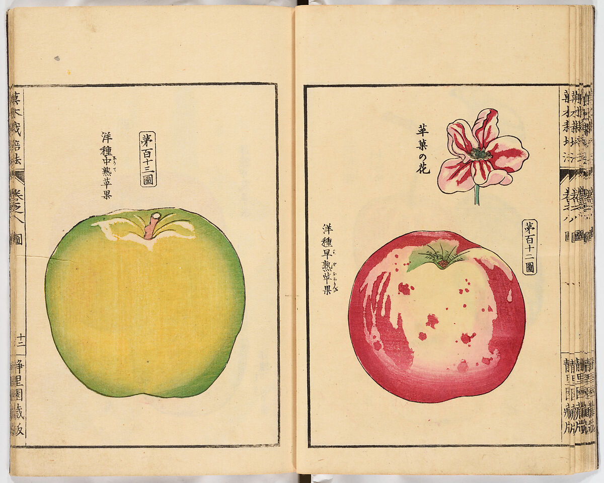 Illustrated book, Ink on paper, Japan