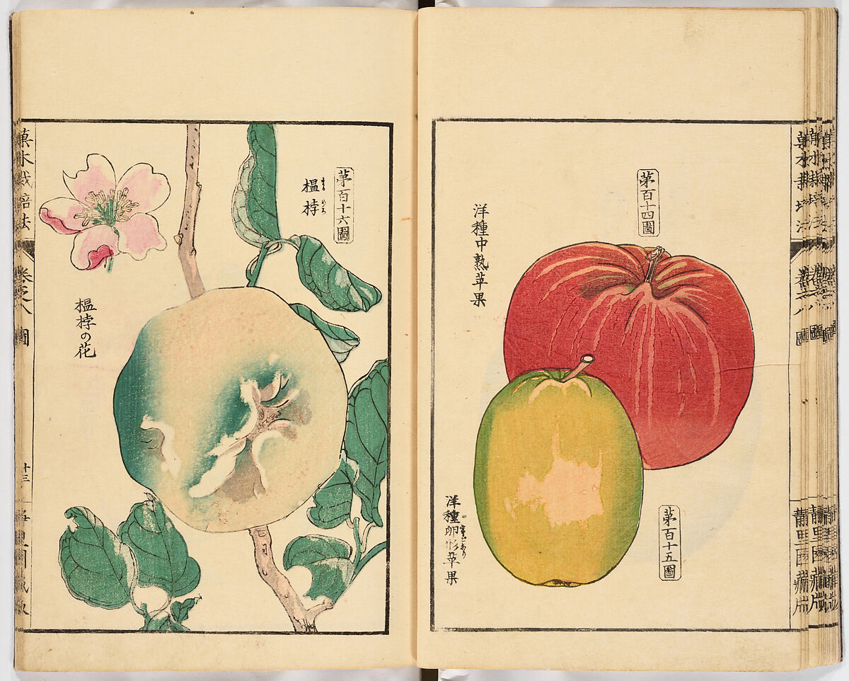 Illustrated book, Ink on paper, Japan