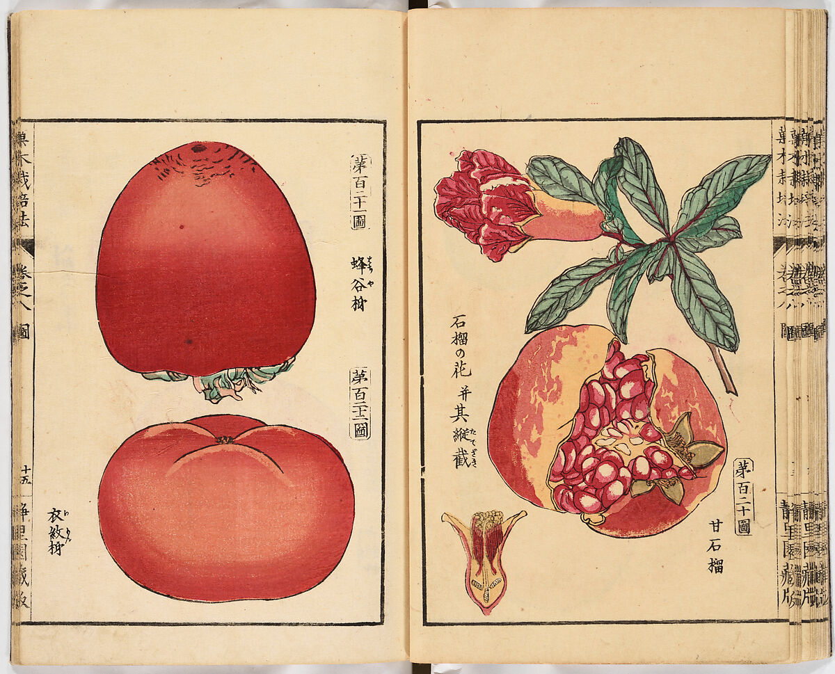 Illustrated book, Ink on paper, Japan