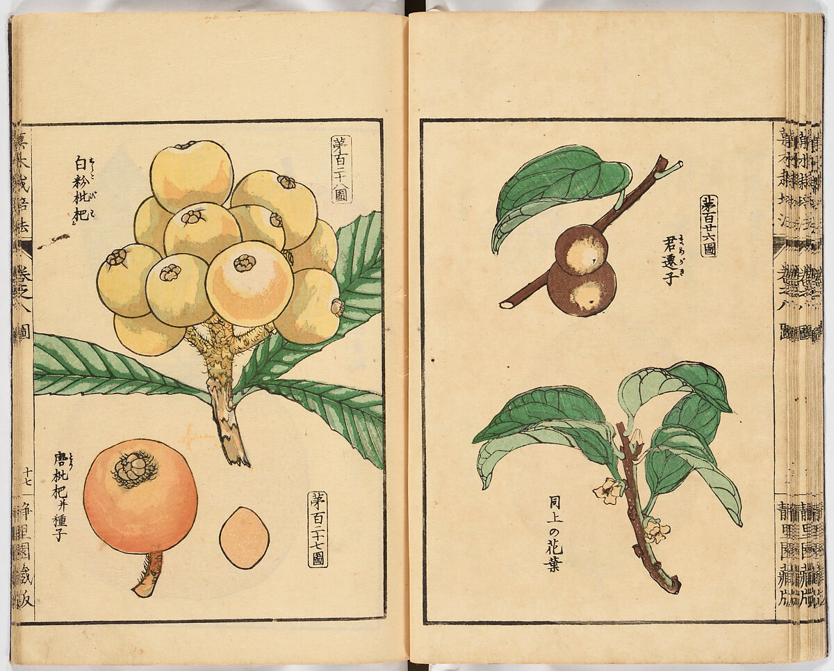 Illustrated book, Ink on paper, Japan