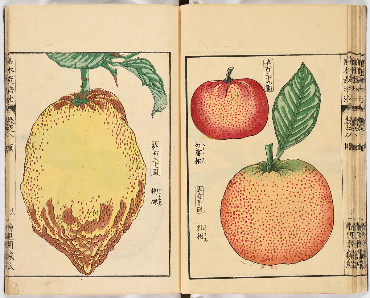 Illustrated book, Ink on paper, Japan