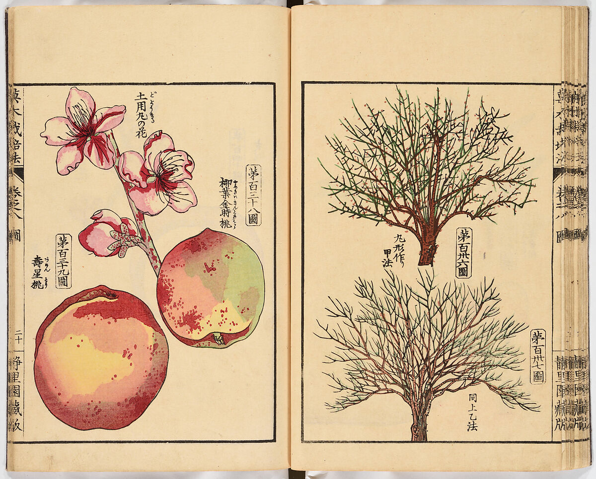 Illustrated book, Ink on paper, Japan