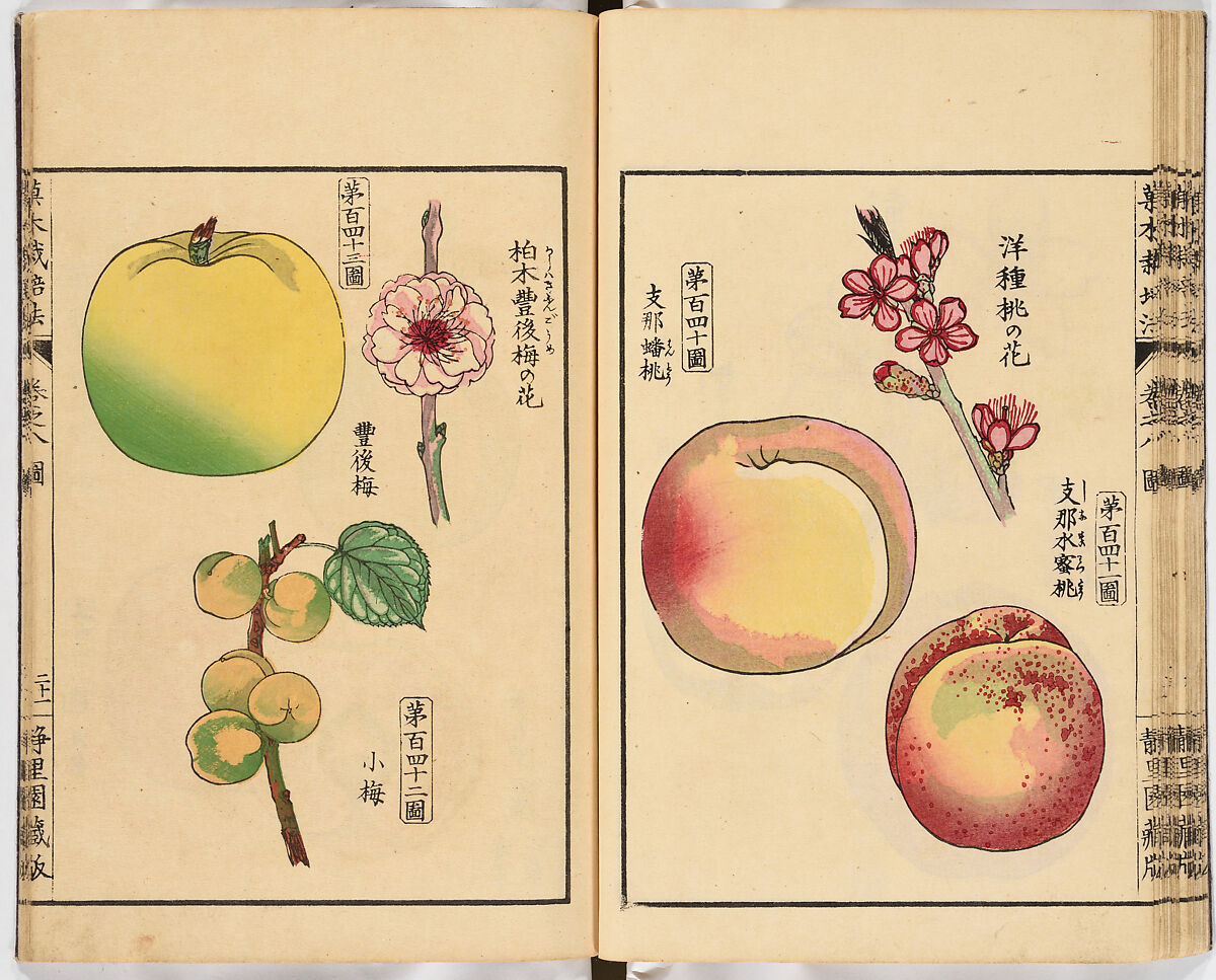 Illustrated book, Ink on paper, Japan