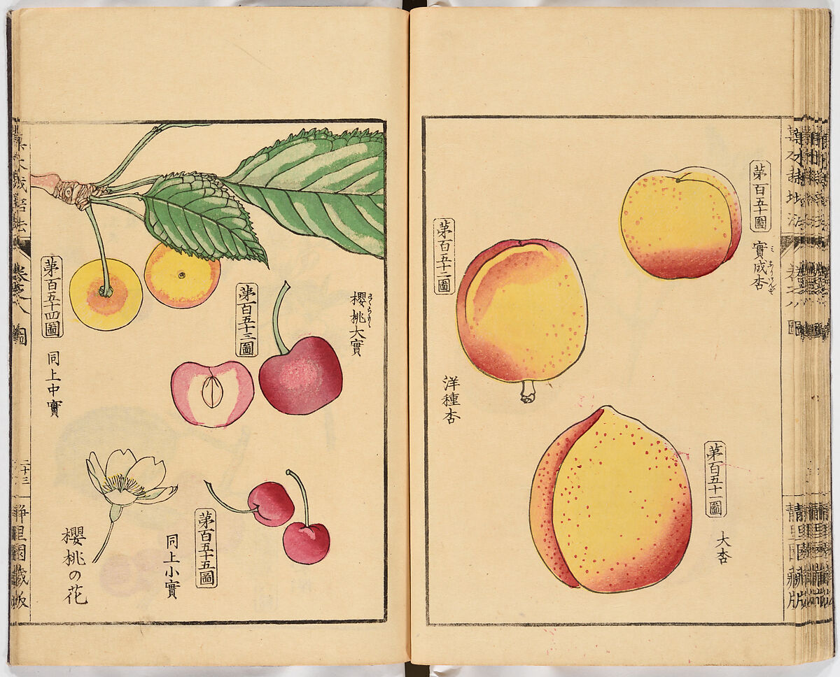 Illustrated book, Ink on paper, Japan