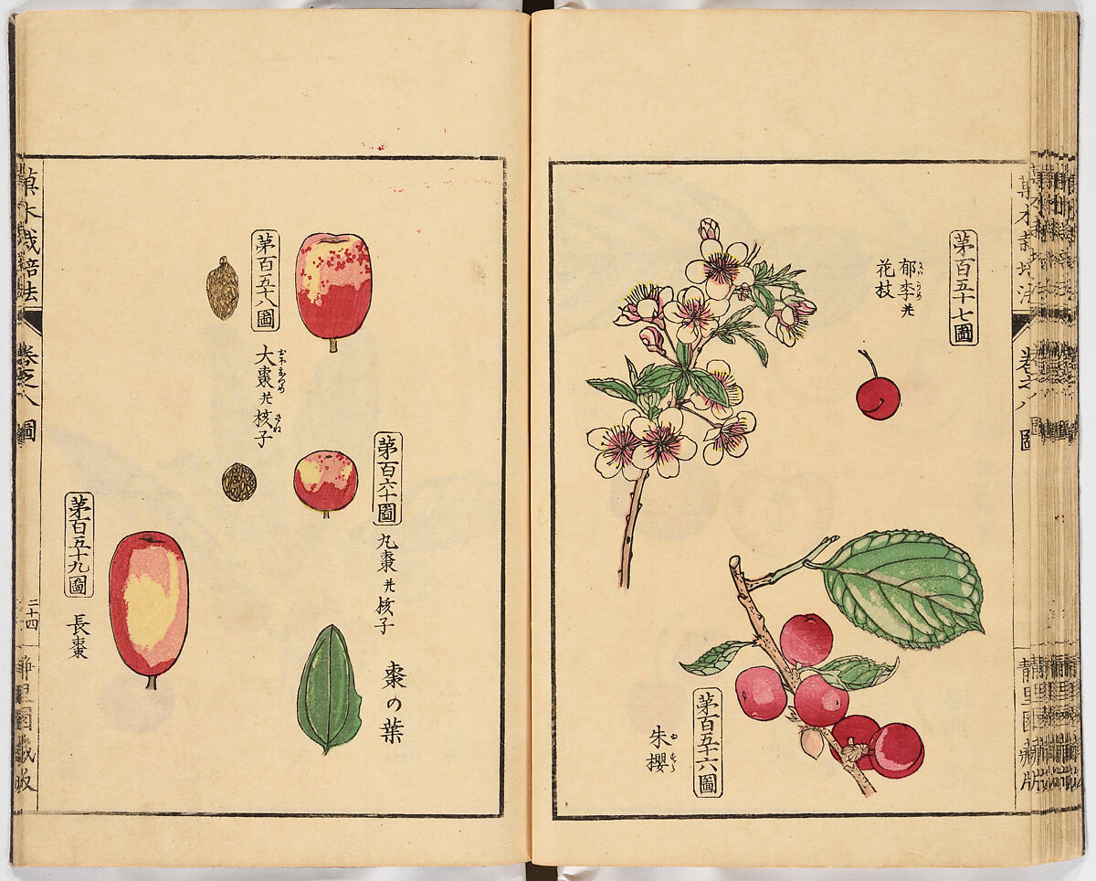 Illustrated book, Ink on paper, Japan