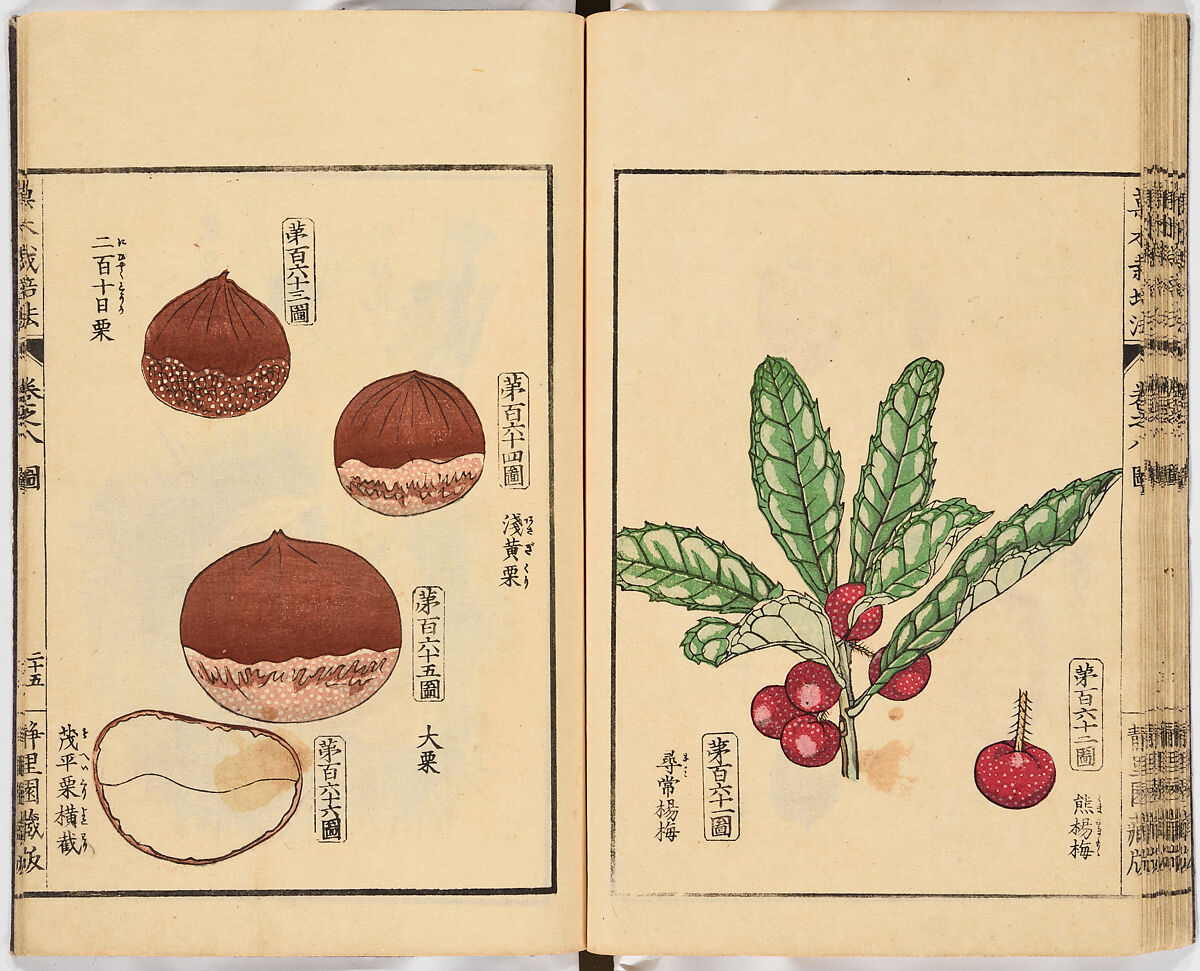 Illustrated book, Ink on paper, Japan