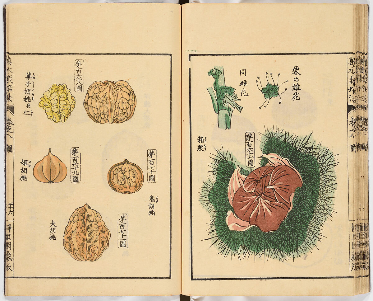 Illustrated book, Ink on paper, Japan