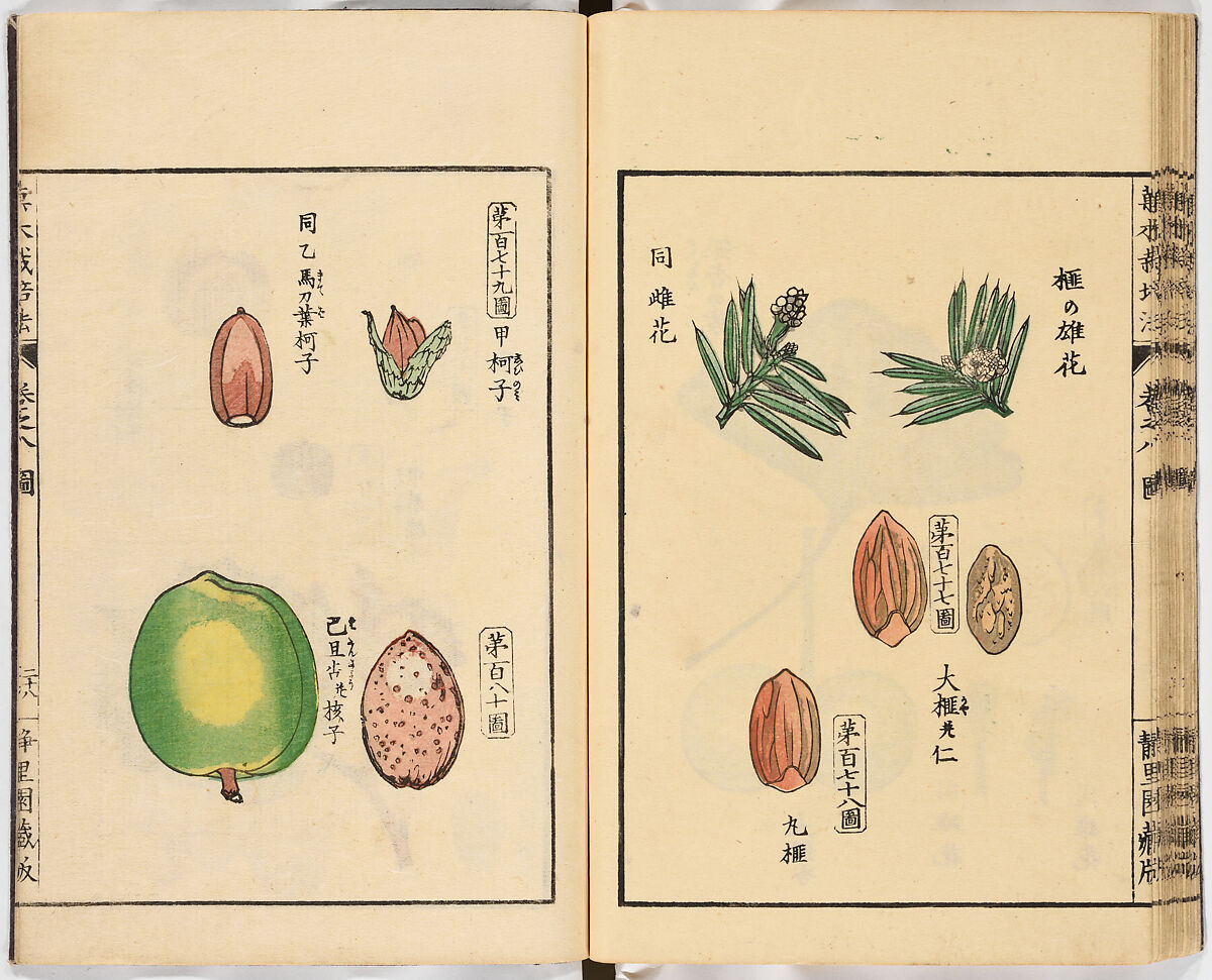 Illustrated book, Ink on paper, Japan