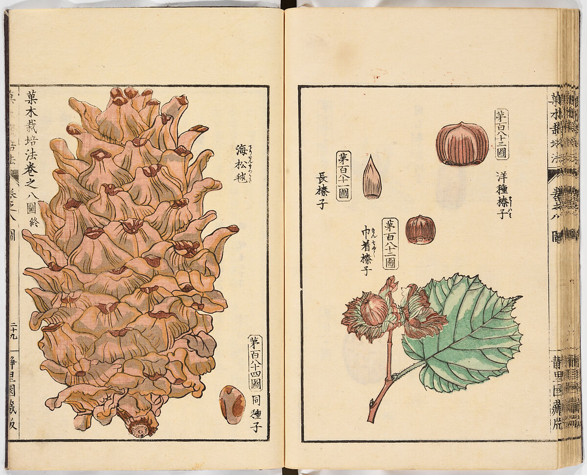 Illustrated book, Ink on paper, Japan