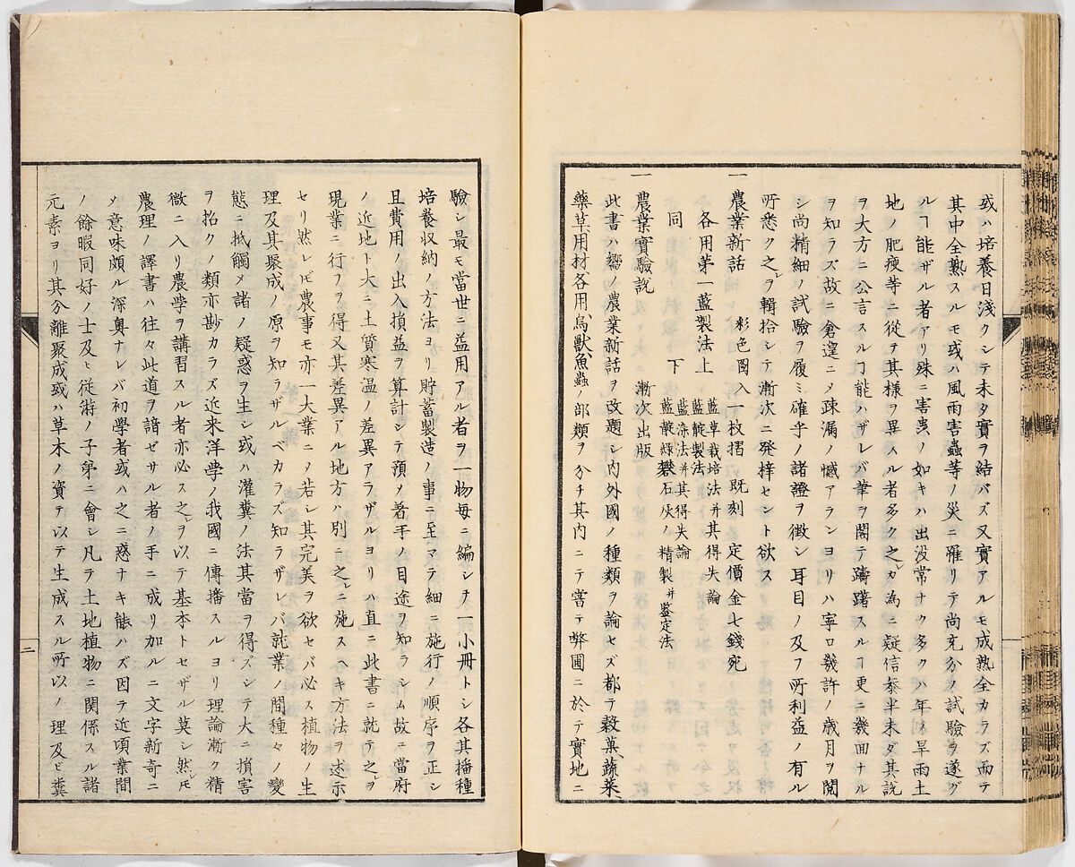 Illustrated book, Ink on paper, Japan