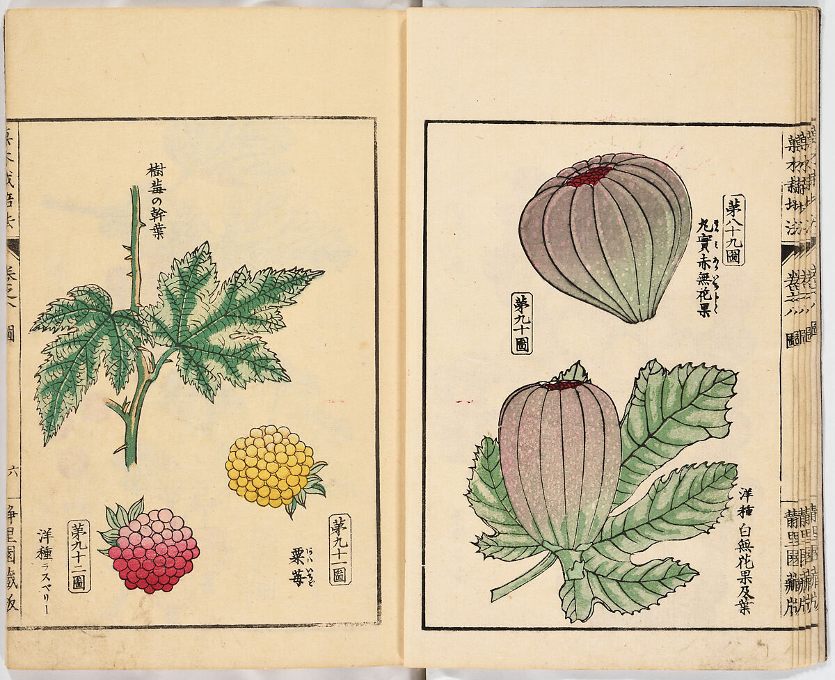 Illustrated book, Ink on paper, Japan