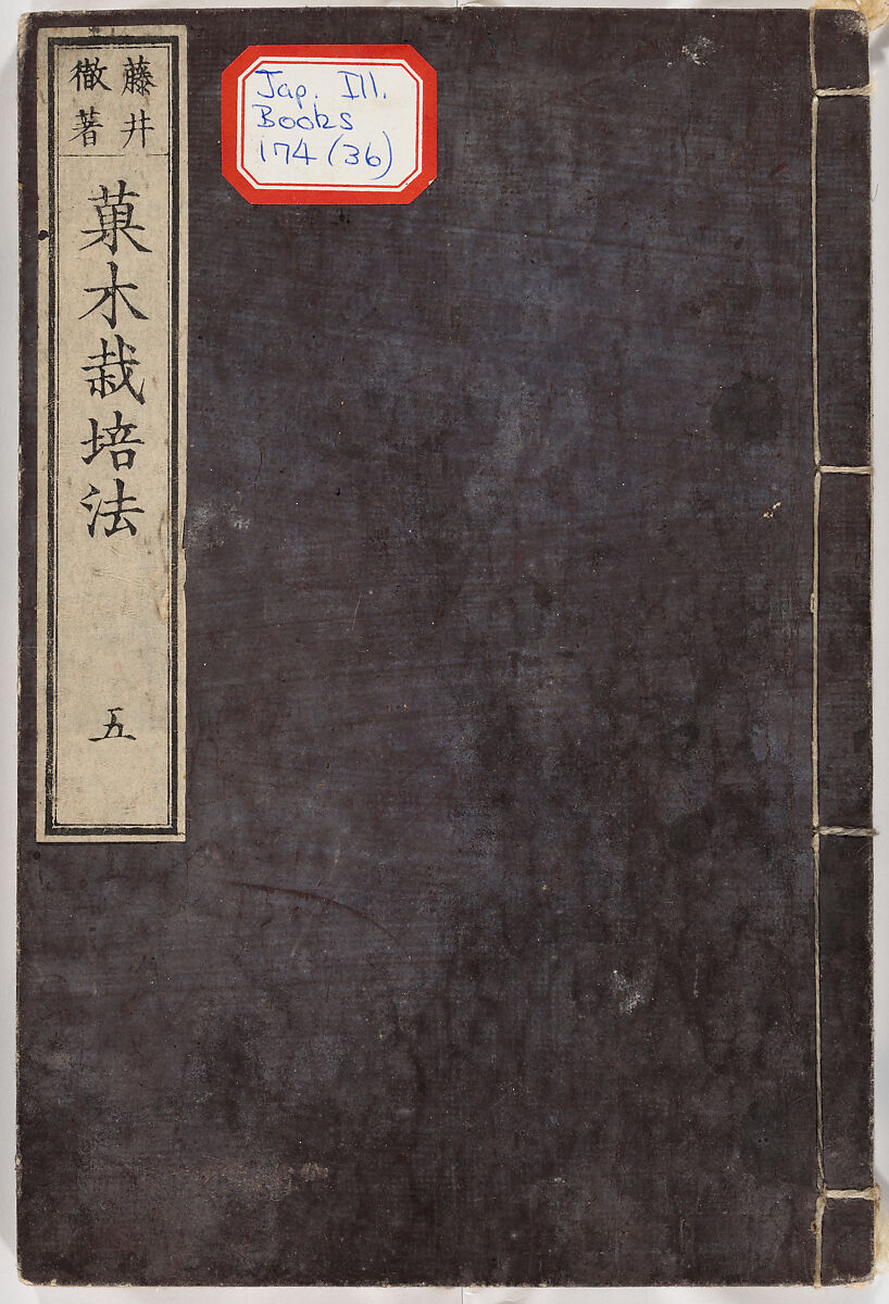 Illustrated book, Ink on paper, Japan