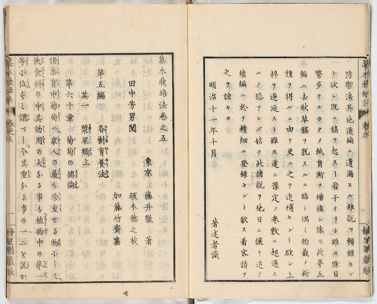 Illustrated book, Ink on paper, Japan