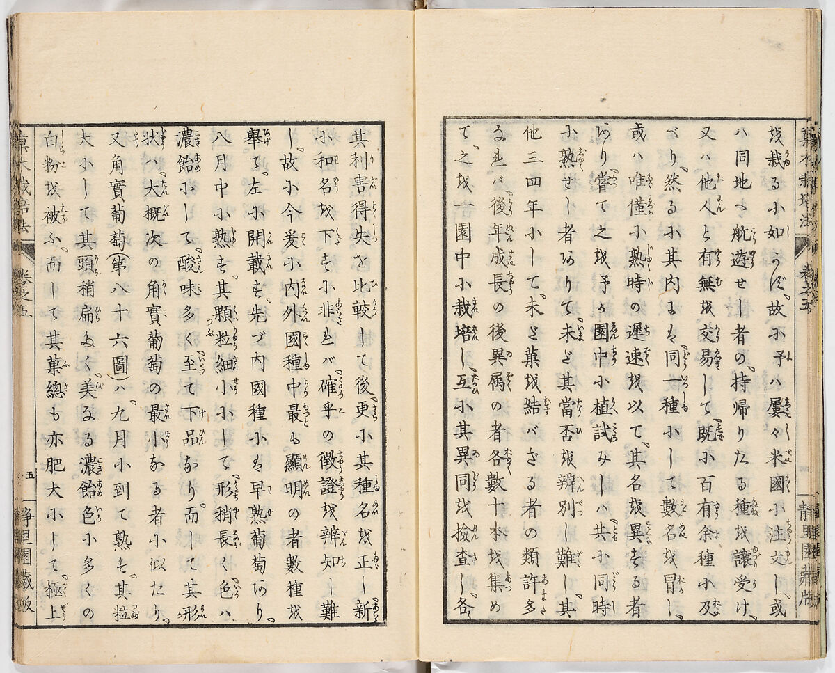 Illustrated book, Ink on paper, Japan