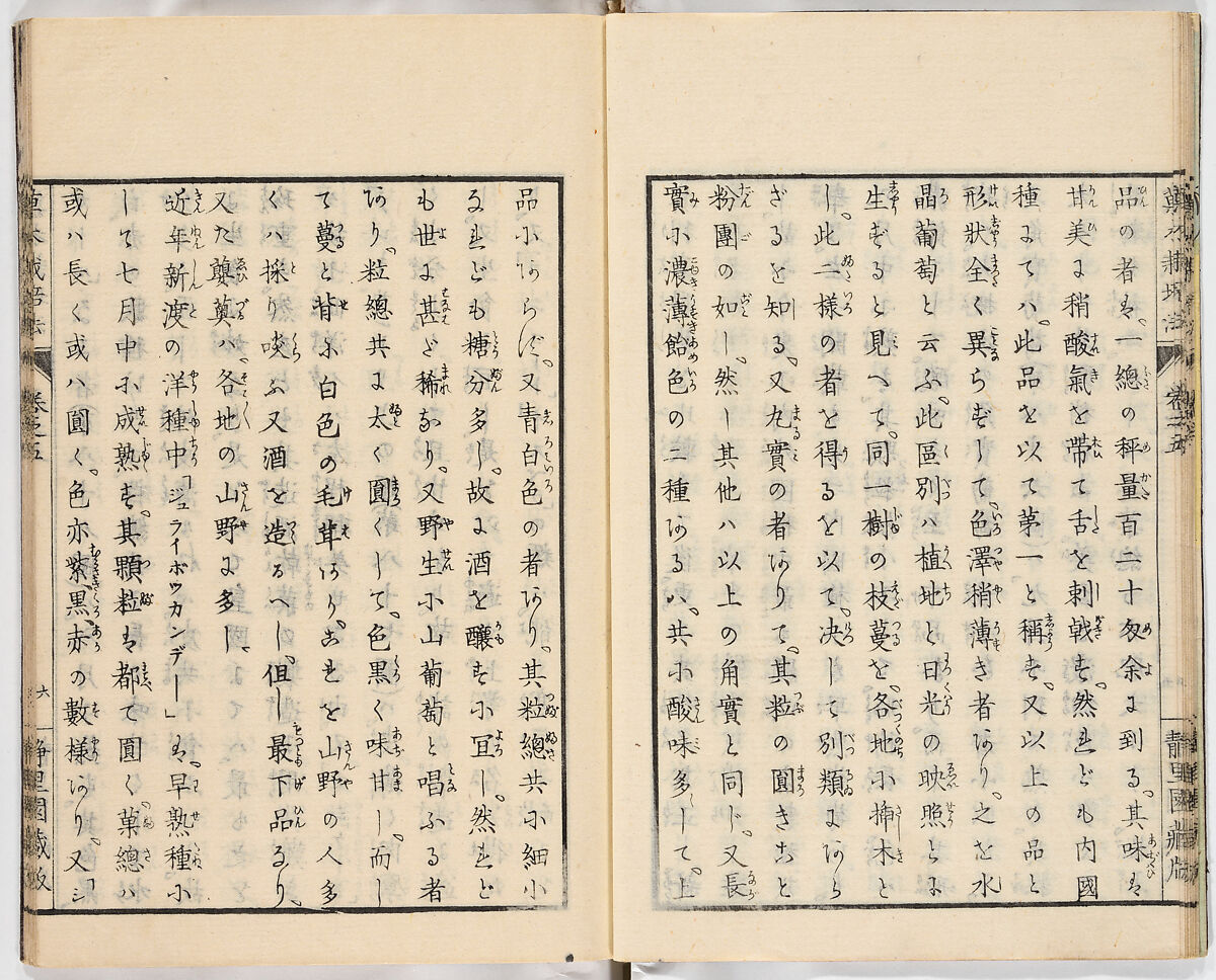 Illustrated book, Ink on paper, Japan