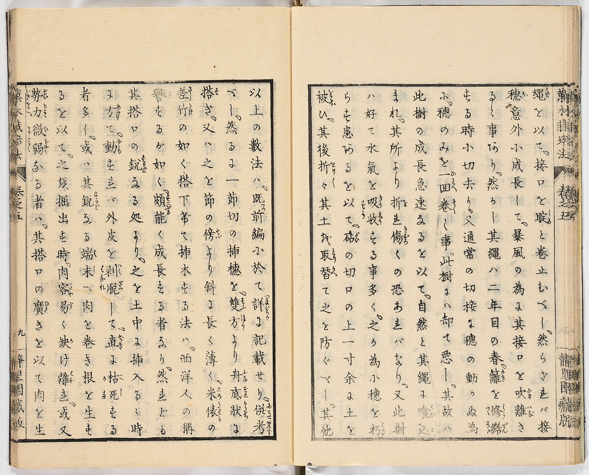 Illustrated book, Ink on paper, Japan