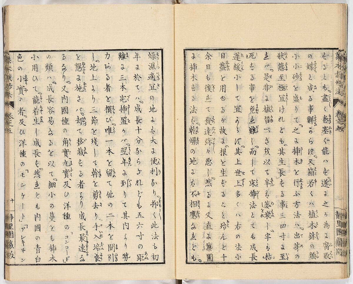 Illustrated book, Ink on paper, Japan