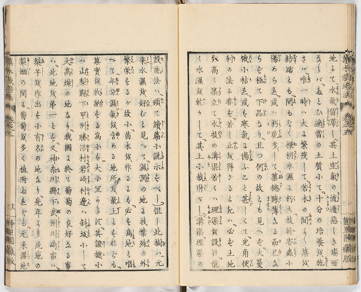 Illustrated book, Ink on paper, Japan