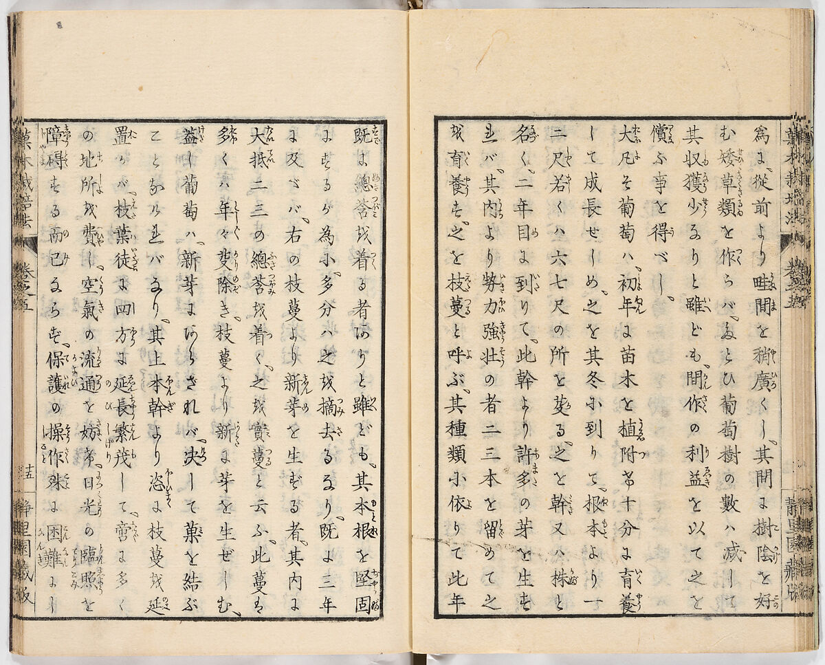 Illustrated book, Ink on paper, Japan