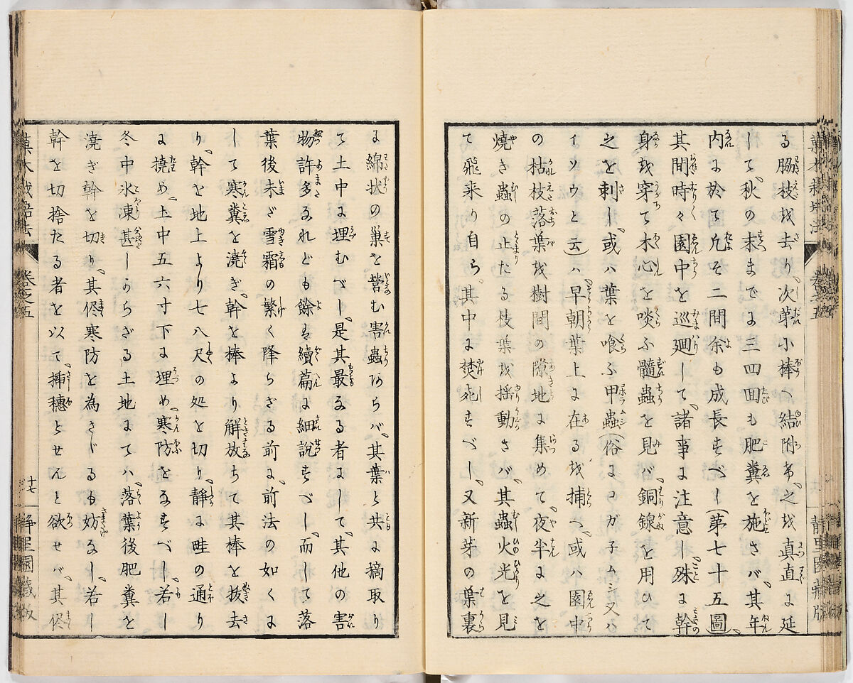 Illustrated book, Ink on paper, Japan