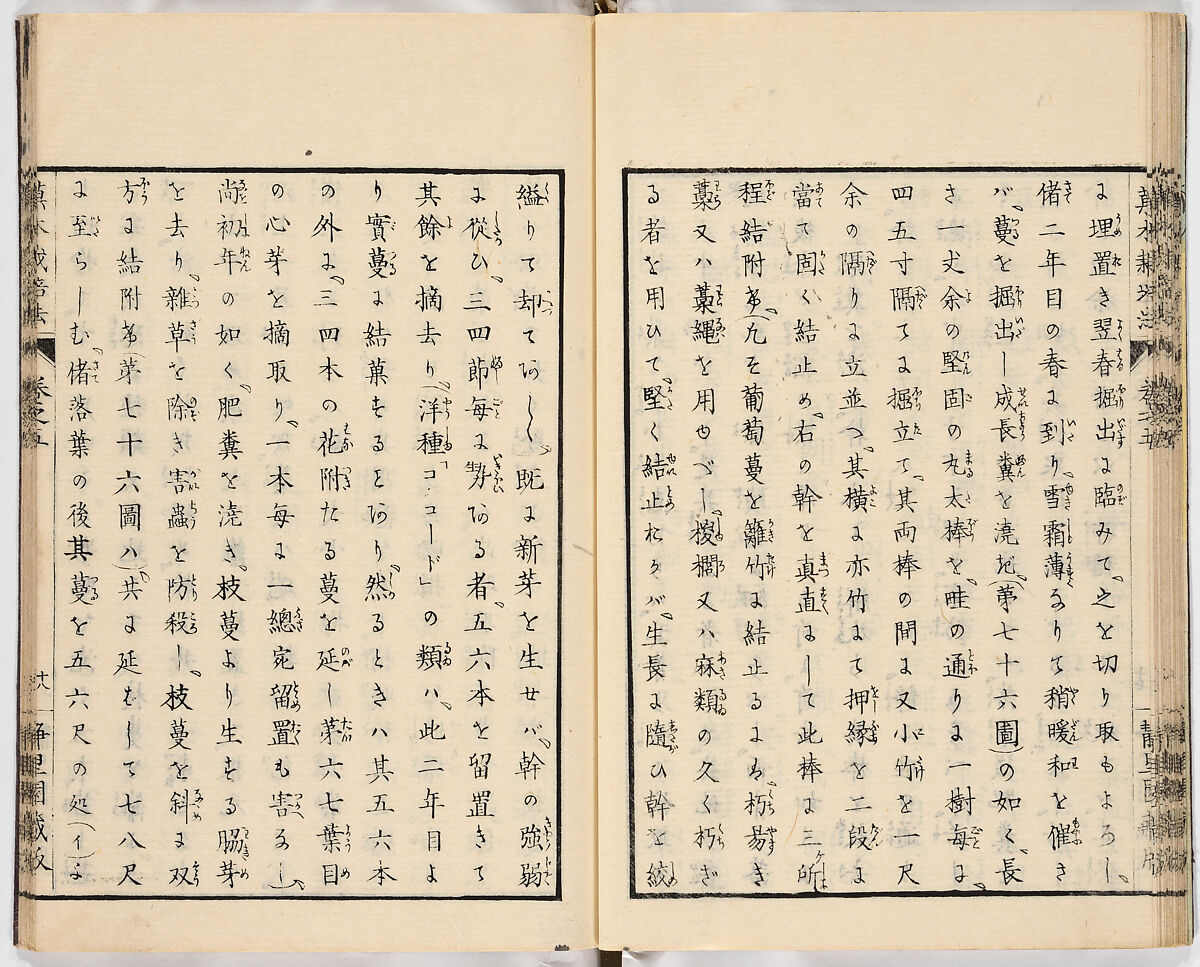 Illustrated book, Ink on paper, Japan