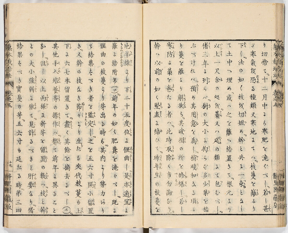 Illustrated book, Ink on paper, Japan