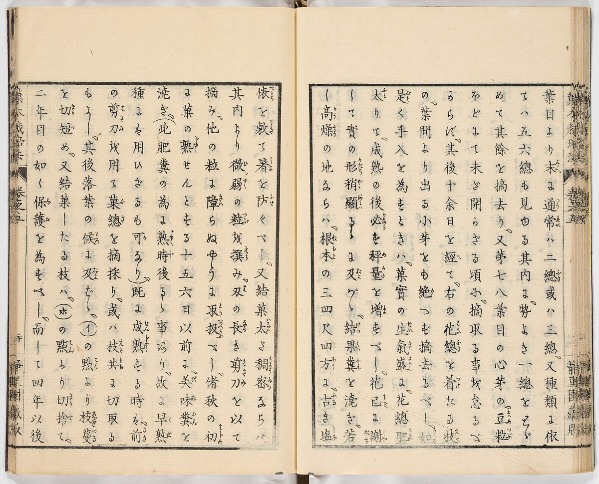 Illustrated book, Ink on paper, Japan