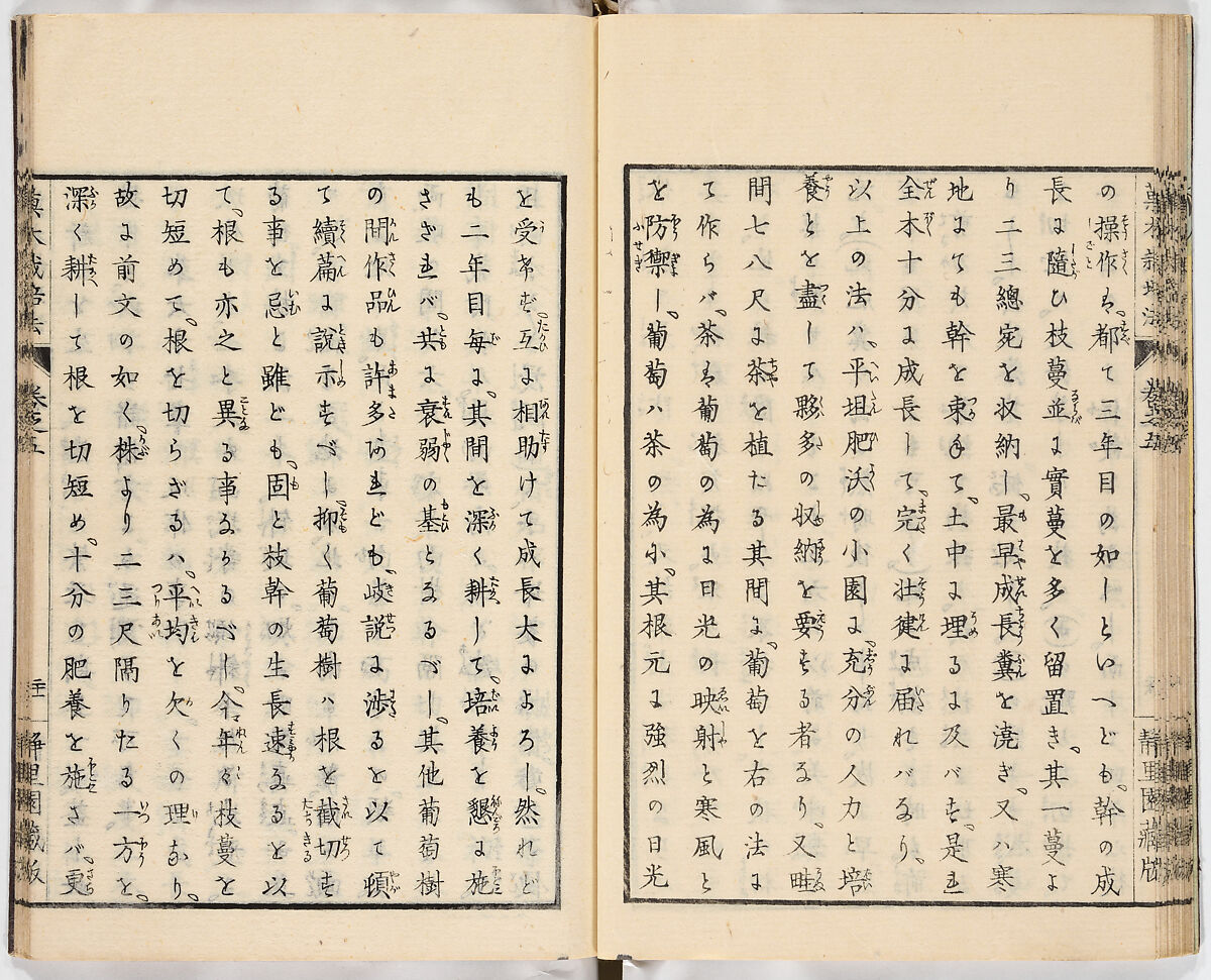 Illustrated book, Ink on paper, Japan