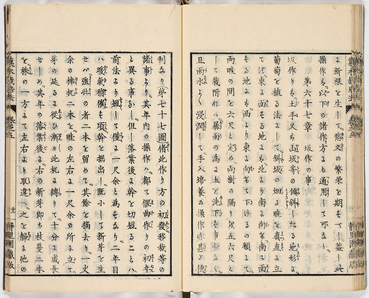 Illustrated book, Ink on paper, Japan