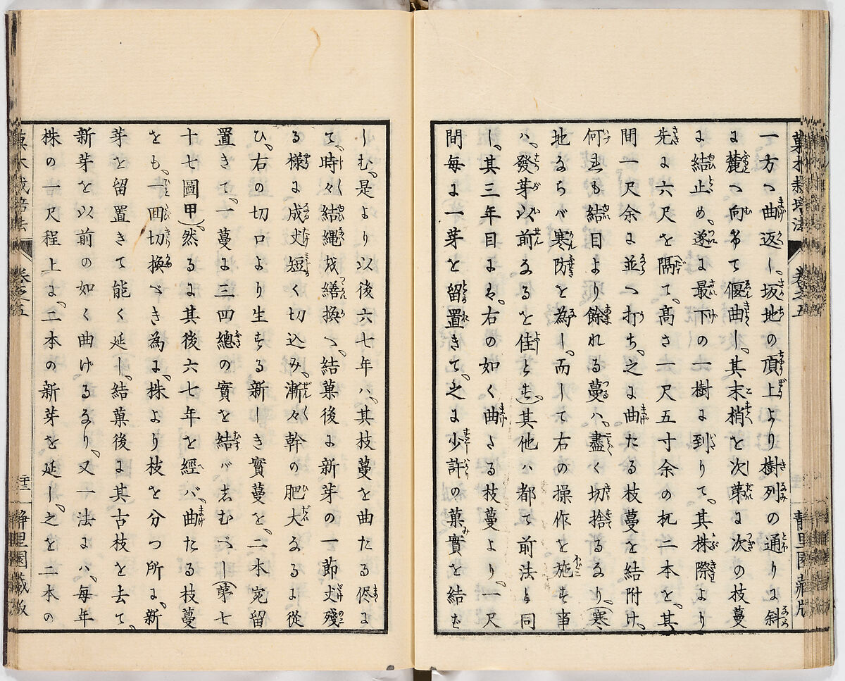 Illustrated book, Ink on paper, Japan