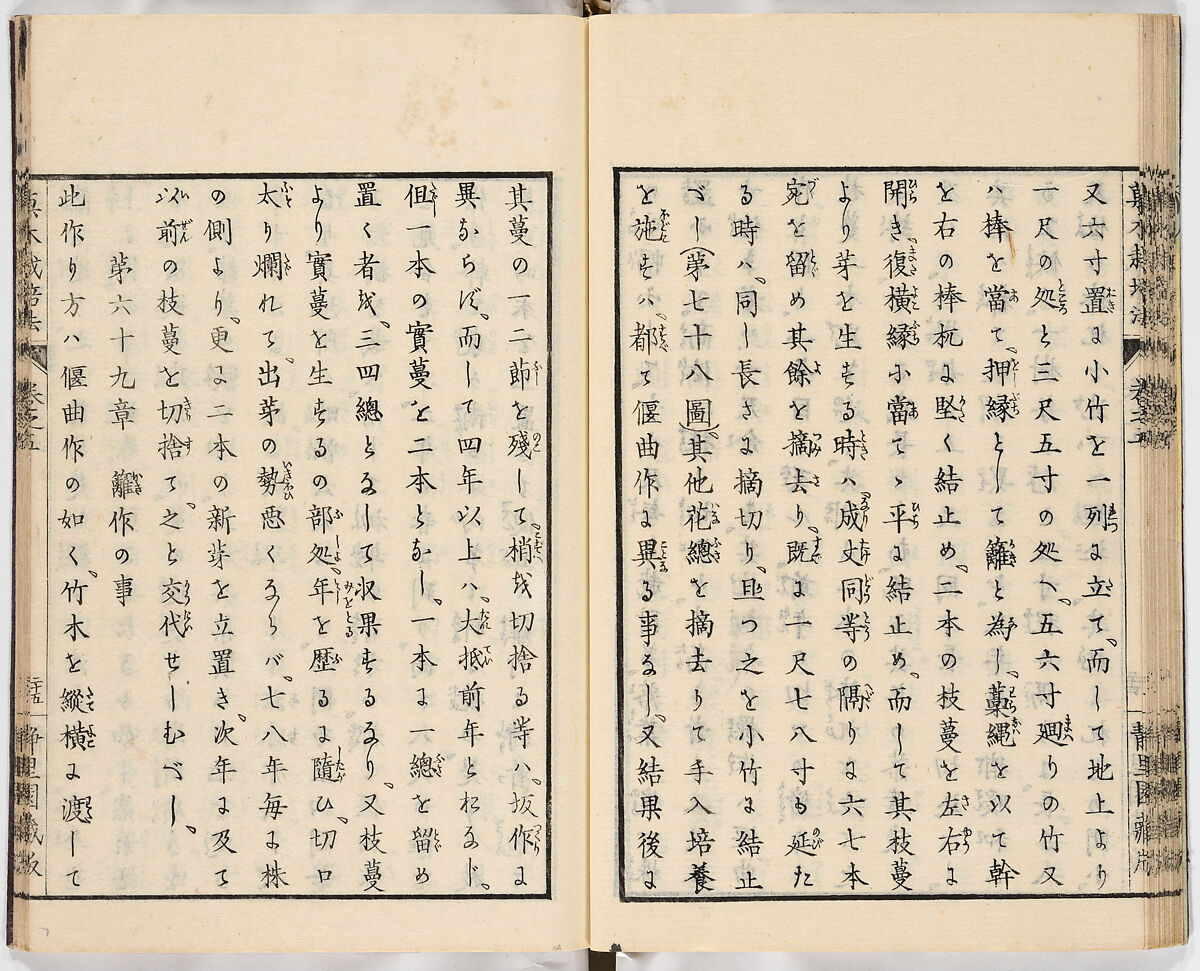 Illustrated book, Ink on paper, Japan