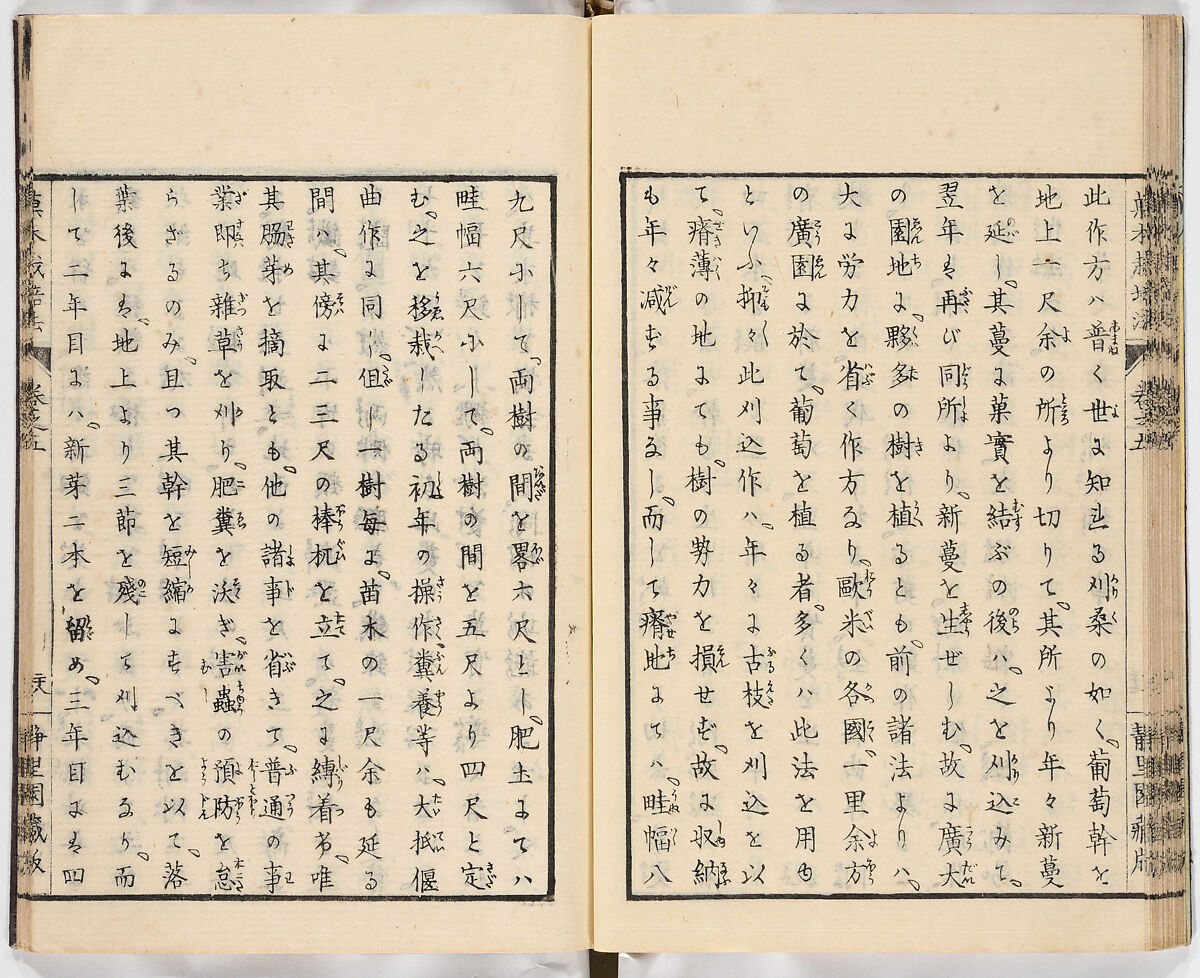 Illustrated book, Ink on paper, Japan