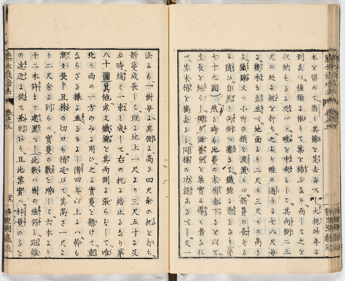 Illustrated book, Ink on paper, Japan