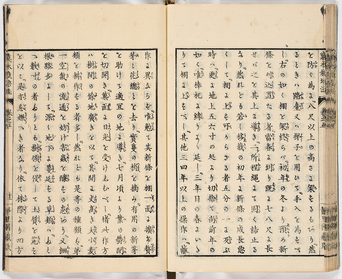 Illustrated book, Ink on paper, Japan