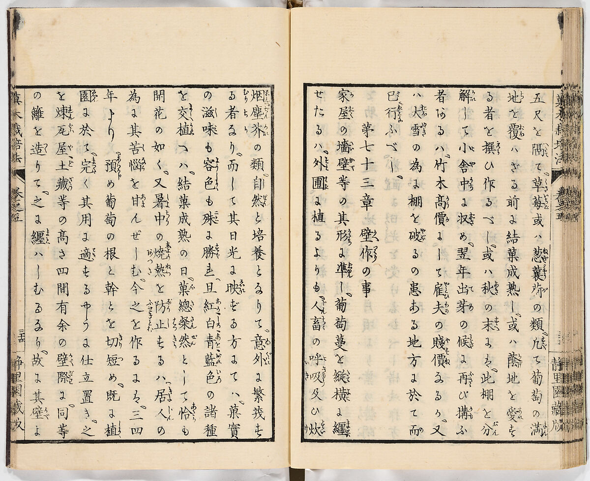 Illustrated book, Ink on paper, Japan