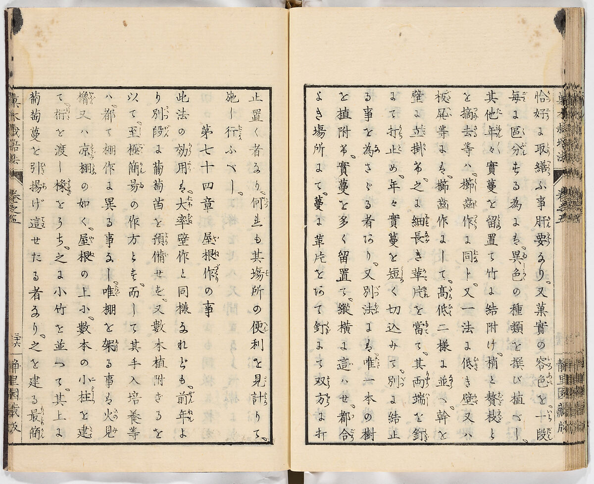 Illustrated book, Ink on paper, Japan