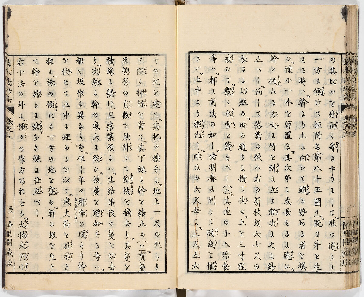 Illustrated book, Ink on paper, Japan