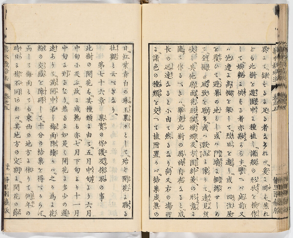 Illustrated book, Ink on paper, Japan