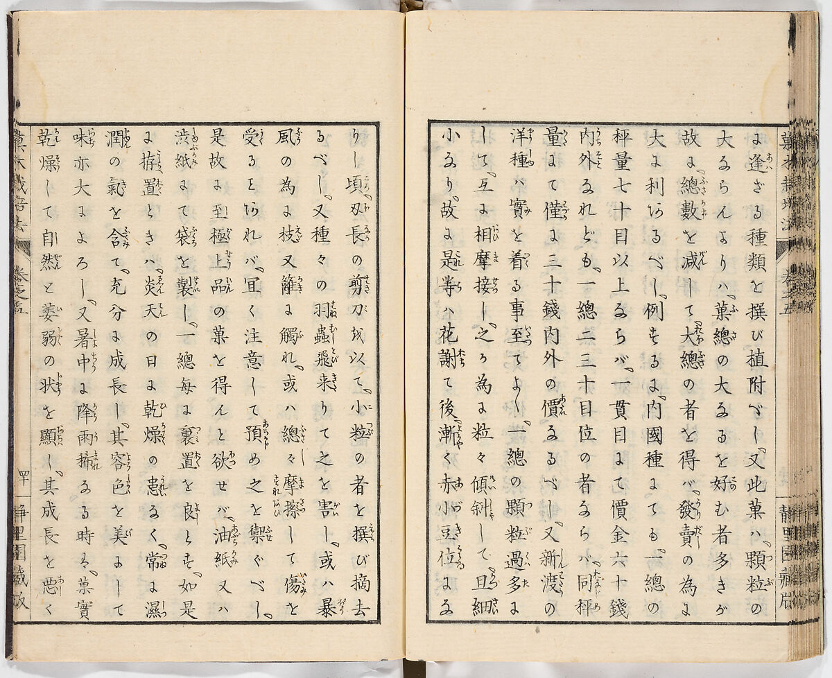 Illustrated book, Ink on paper, Japan