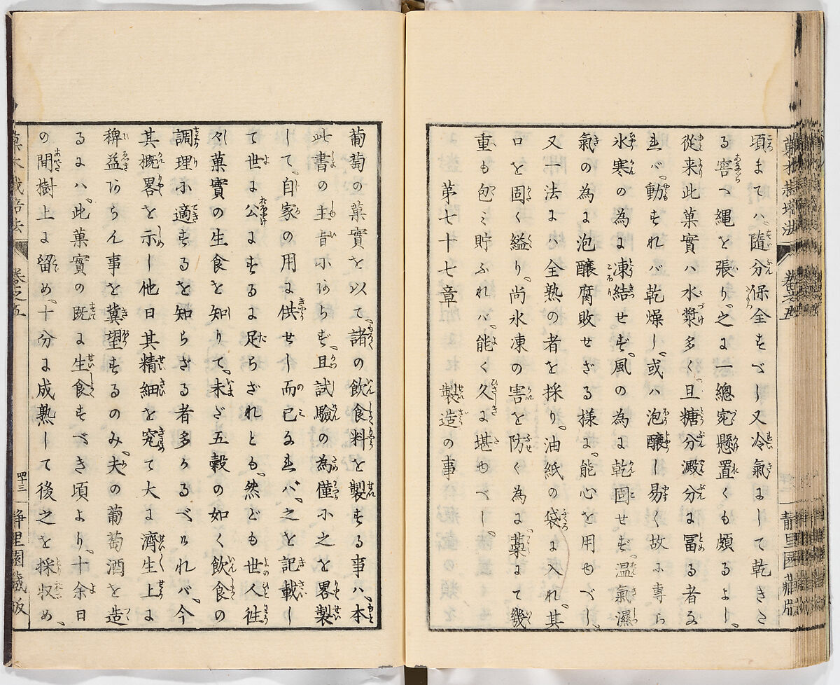 Illustrated book, Ink on paper, Japan