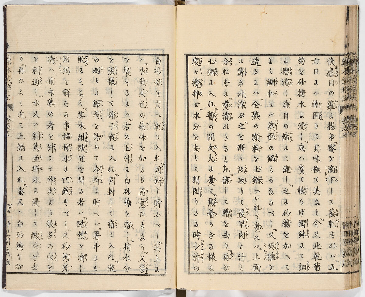 Illustrated book, Ink on paper, Japan