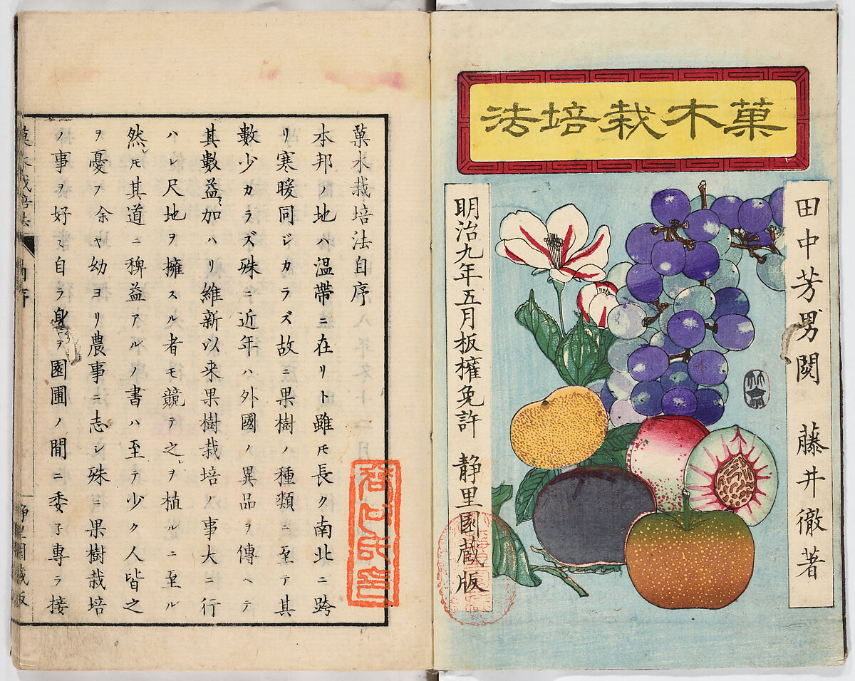 Illustrated book, Ink on paper, Japan