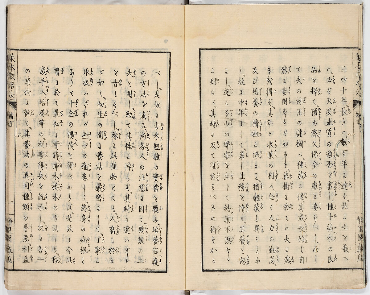 Illustrated book, Ink on paper, Japan